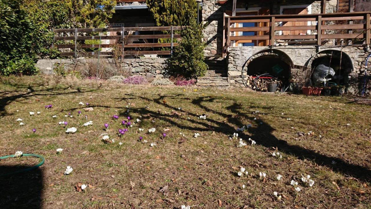 Casa Delle Rose Villa Teglio Exterior photo