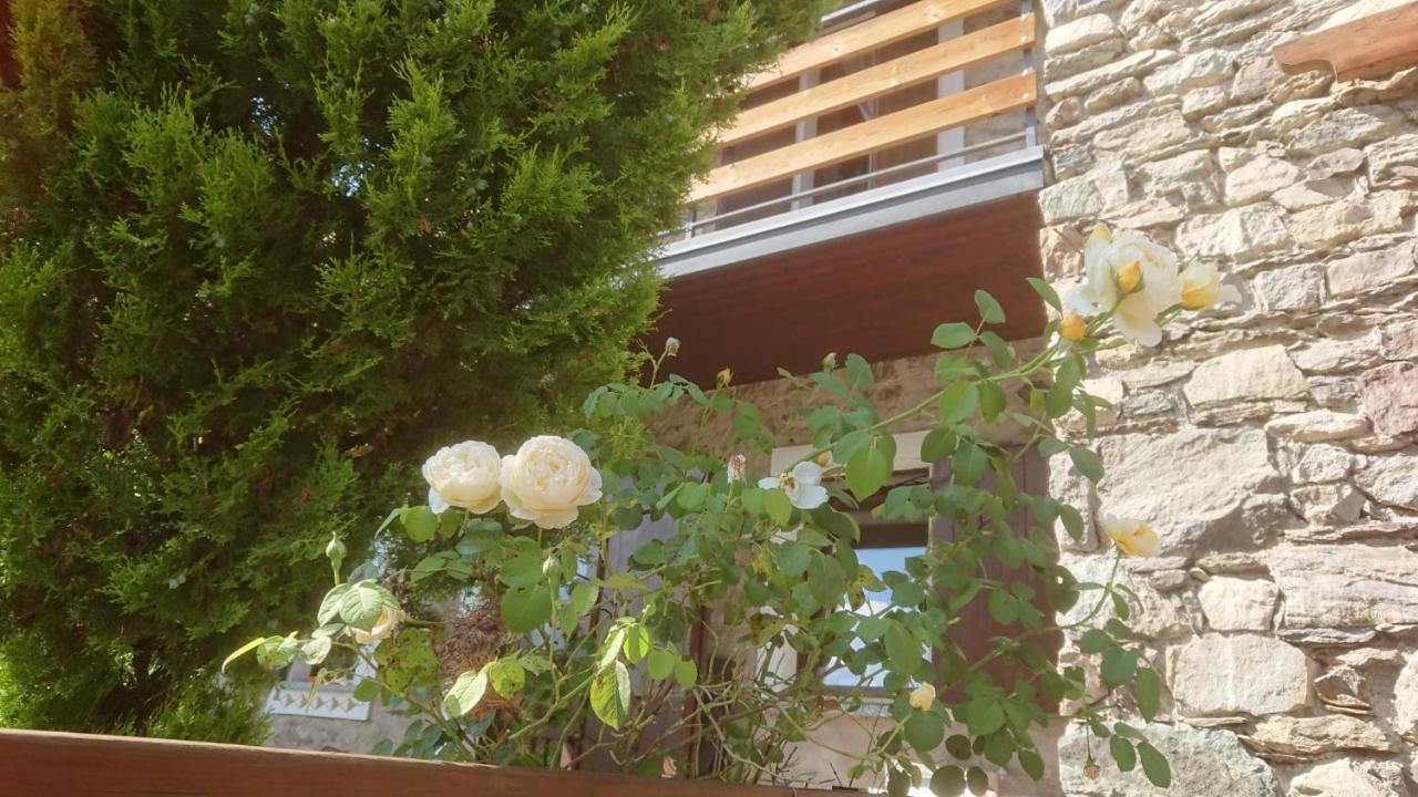 Casa Delle Rose Villa Teglio Exterior photo